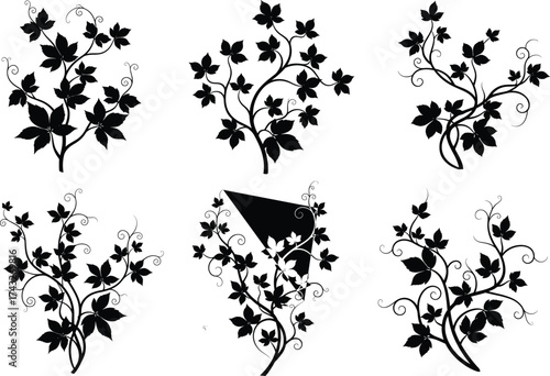 Elegant black floral vine silhouettes, decorative leaf and tendril designs, perfect for tattoo art, graphic design, and ornamental illustration projects