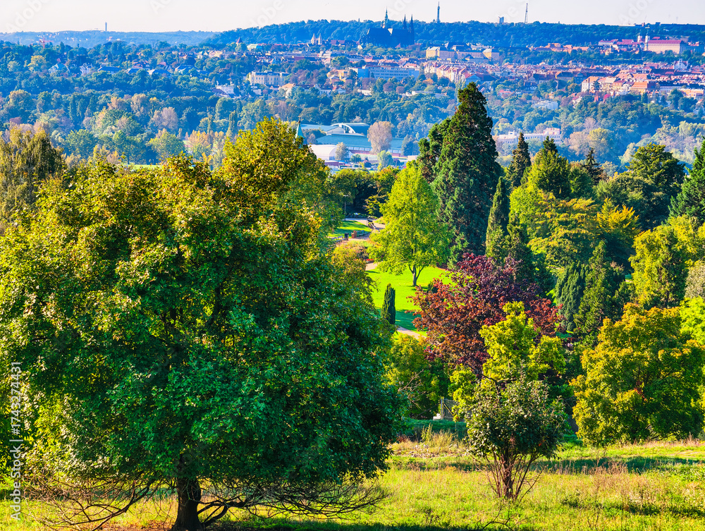 Fototapeta premium Ultra HD Autumn Landscape with Vibrant Trees and Distant Cityscape – Nature Meets Urban Elegance for Editorial, Design and Commercial Use