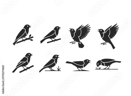 Collection of Stylized Bird Silhouettes in Various Poses.