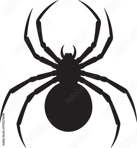 Spider Silhouette Hanging on Web  Black Insect Vector on White Background