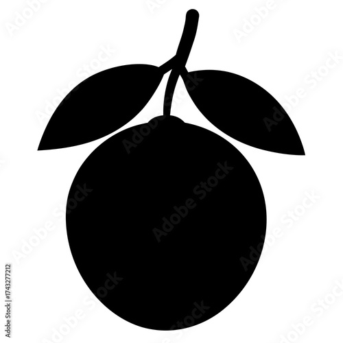 vector illustration of an orange fruit