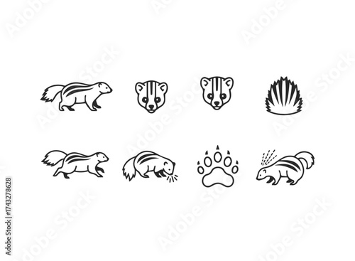 Stylized Skunk and Paw Print Icons.