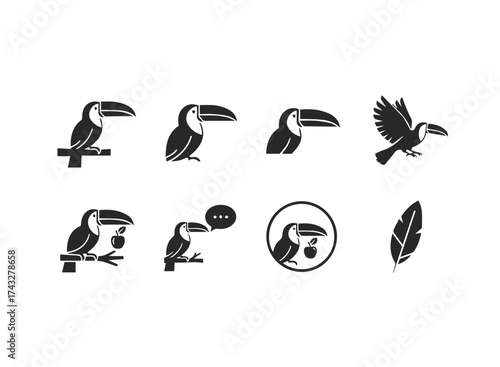 Toucan Bird Icon Collection Vector Art.