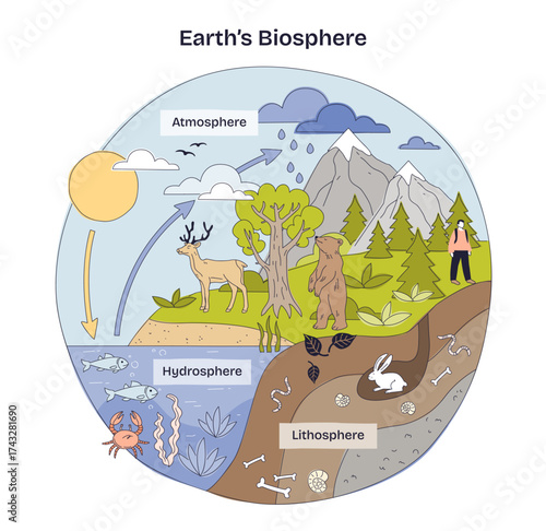 Earth s biosphere concept links atmosphere, hydrosphere, and lithosphere, sun drives cycles, trees and wildlife show habitats, key objects, sun, tree, bear. Doodle style diagram