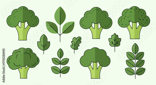 A collection of flat design illustrations featuring various green vegetables and leafy elements.