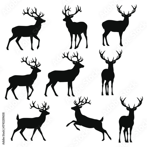 Silhouettes of majestic deer standing and leaping gracefully in nature.