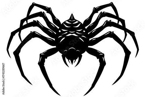 Black silhouette of a giant spider on white background