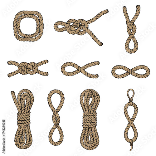 A comprehensive collection of various rope knots commonly used in maritime activities and general applications.