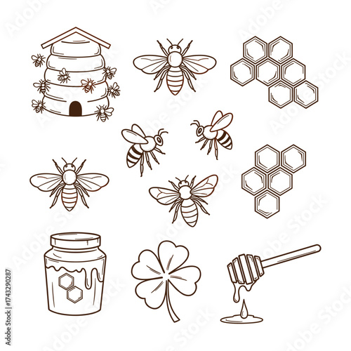 An assortment of honeybee related illustrations including a hive combs and a clover flower.