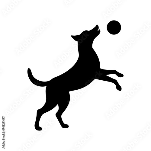 dog playing with ball