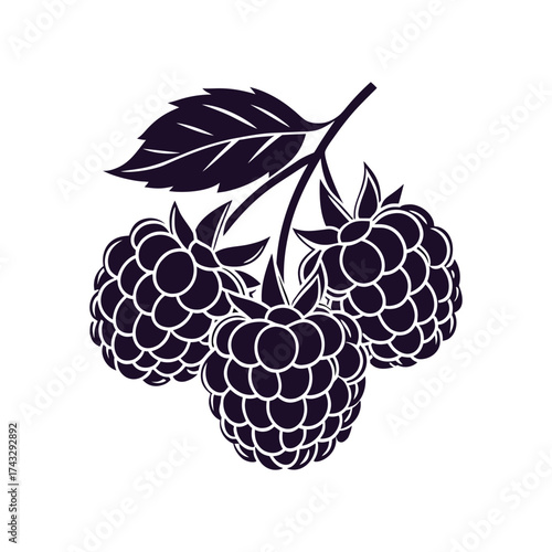 Blackberry Fruit Silhouette Vector Icon - Stencil Style Berry Logo