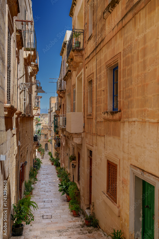 Fototapeta premium Sunlit Limestone Stair-Street with Potted Greenery and Blue Sky