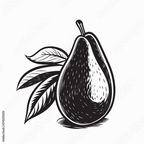 Avocado Fruit Vector Black White Minimalist Design on white background