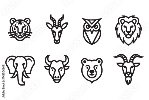 Wildlife and jungle animal vector illustration showing diverse species