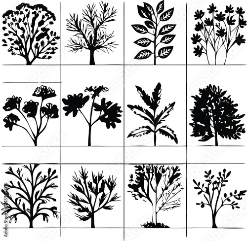 Diverse collection of stylized botanical line drawings featuring trees and branches