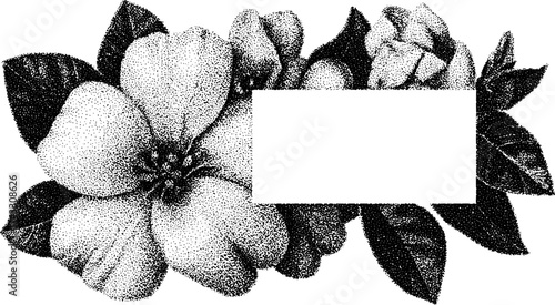 Flower engraving with leaves in vintage style. Hand-drawn outline illustration as a classic floral decoration vector set.