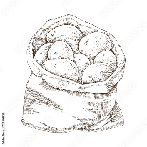 Sack of potatoes hand drawn vector