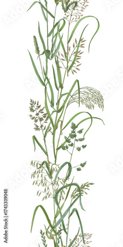 Meadow herbs vertical seamless border