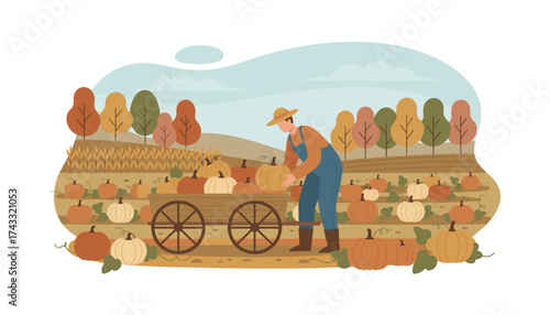Farmer harvesting pumpkins in an autumn field Seasonal harvest agriculture food production rural life