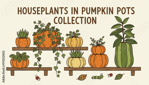Autumn houseplants in pumpkin pots on shelves cozy seasonal home decor illustration
