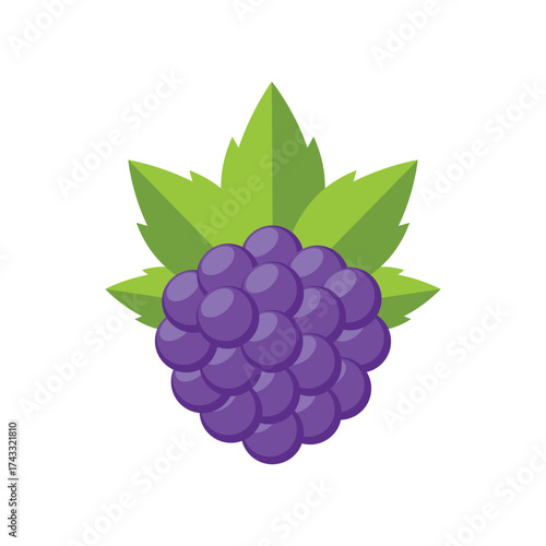 Ripe Blackberry Fruit with Leaves Vector Illustration Icon