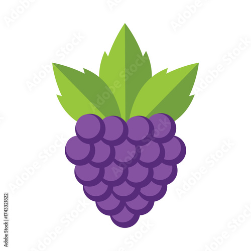  Vector Illustration of Ripe Blackberry Fruit with Leaves , Berry Icon