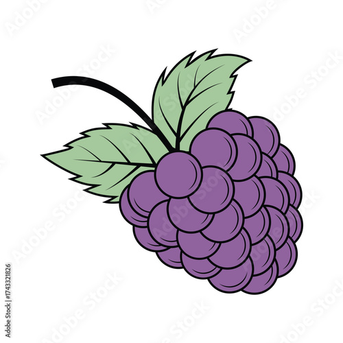 Ripe Blackberry Fruit with Leaves - Vector Illustration Icon
