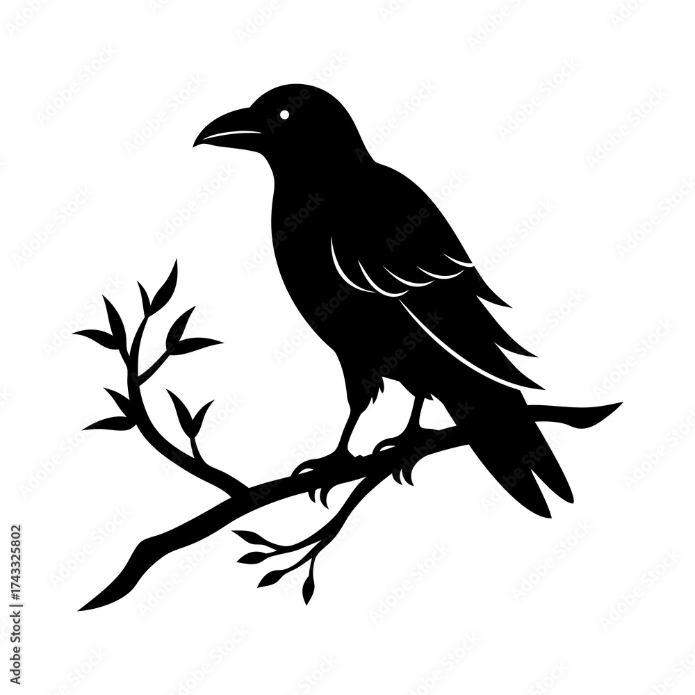 Fototapeta premium crow on a branch