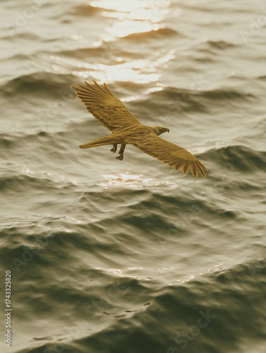A large golden eagle with beautiful feather patterns.