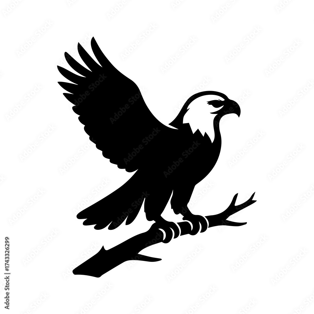 Fototapeta premium eagle vector illustration