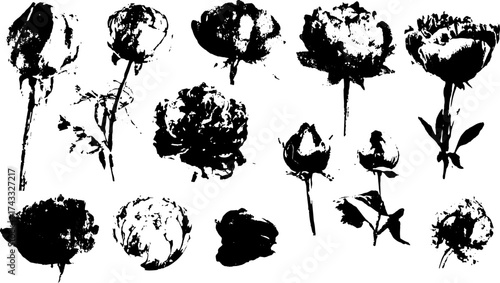 Rose illustrations in black and white. Botanical vector set showcasing open and closed blooms in a detailed illustration.