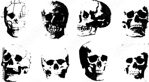 Black and white skull illustrations in a detailed set. This realistic vector illustration showcases human anatomy with a classic design.