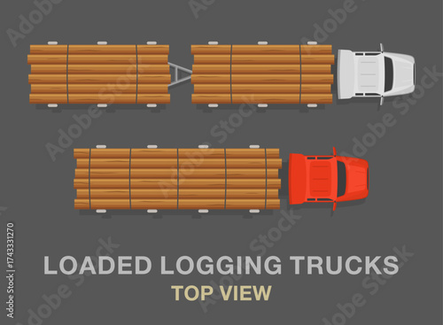  Isolated top view of a heavy vehicles. Types of loaded logging trucks and trailers. Flat vector illustration template.
