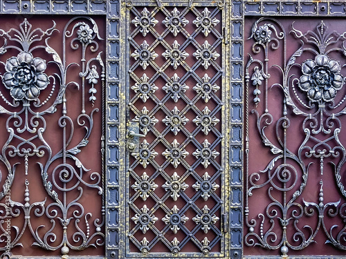 Wrought iron fence with patterns. Close-up.