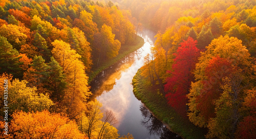 Aerial view of a winding river cutting through a vibrant autumn forest, golden and crimson trees glowing under the morning sun