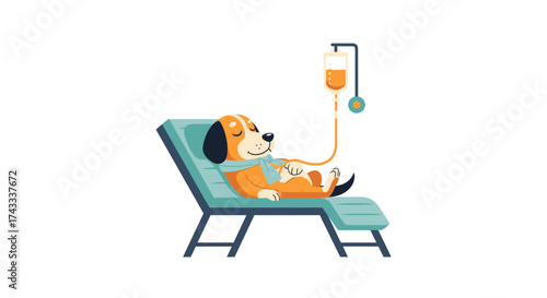 Illustration of a dog receiving intravenous therapy while relaxing on a lounge chair representing