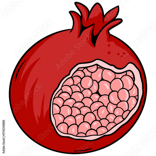 Pomegranate Fruit Illustration