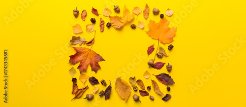 Autumn composition made of dried leaves, cones and acorns on table. Flat lay, top view, copy space