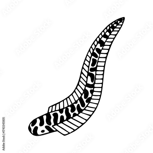 decorative leech or aquatic worm illustration