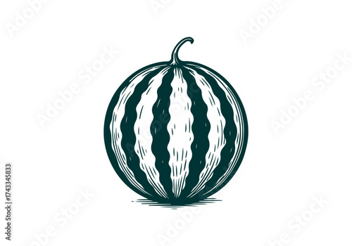 Watermelon hand drawn simple engraved vector illustration