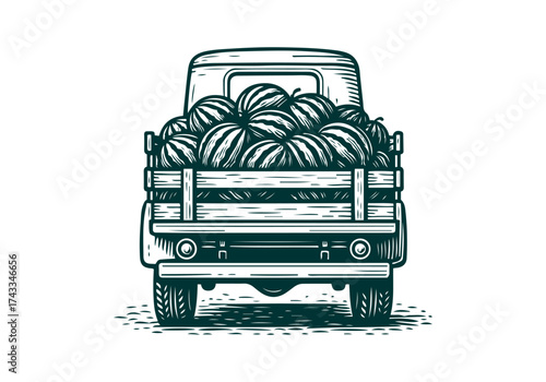 Watermelon hand drawn simple engraved vector illustration