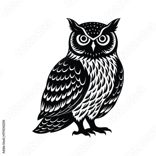 owl on a branch