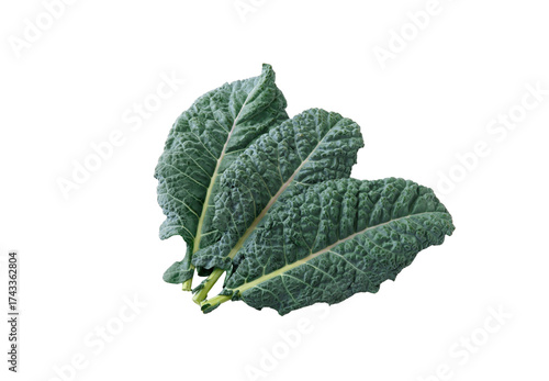 organic kale greens for healthy cooking and salads