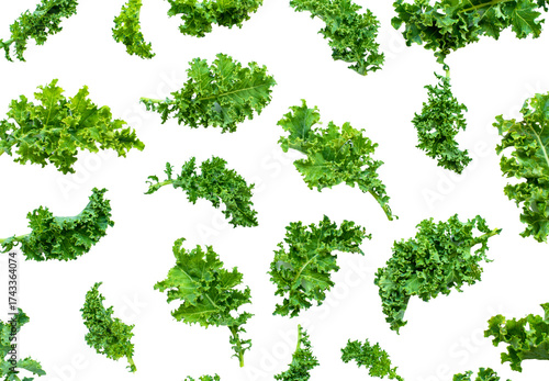 kale leaves arranged like a frame on white surface