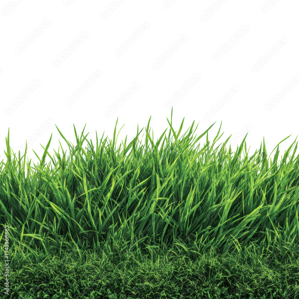 Fototapeta premium Nature action lush green grass scene vibrant environment isolated on transparent background
