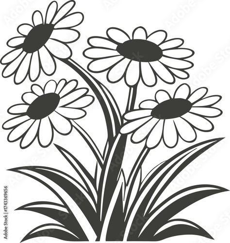 Stylized daisy flowers arrangement isolated on white background