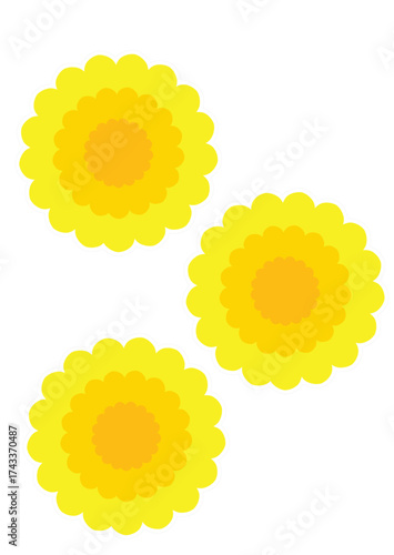 cute flowers icon over white background. colorful design. vector illustration