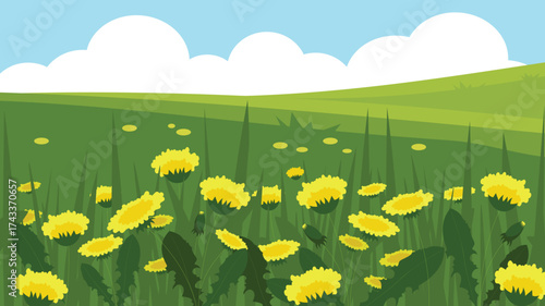 Dandelion meadow background in flat style. Vector illustration.