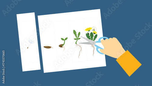 Illustration of a hand holding scissors cutting a sheet of paper with seedlings
