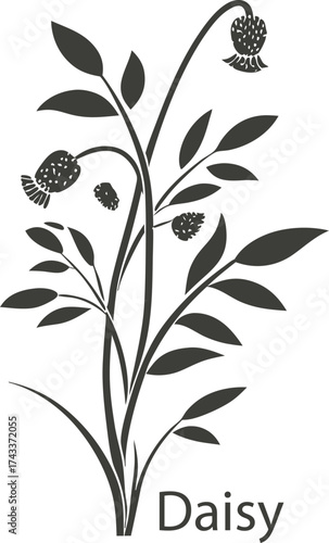 Stylized daisy flower silhouette isolated on white background